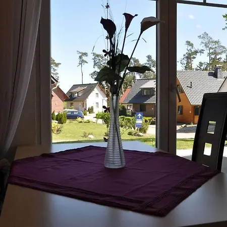 Ground-floor In Mueritz